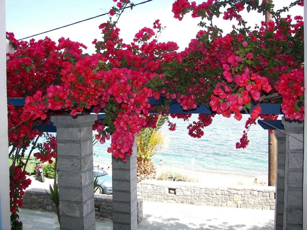 Theoxenia Chios Apartments Paralia Agias Foteinis المظهر الخارجي الصورة